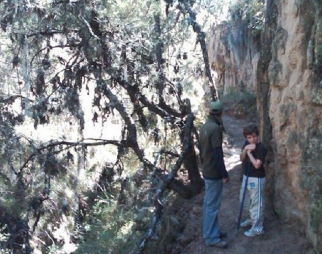 Caminatas de aventura